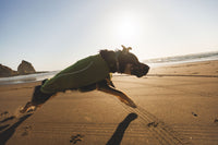 Ruffwear Climate Changer™ Fleece Vest